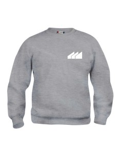 Sudadera gris "Institut Pere Martell"