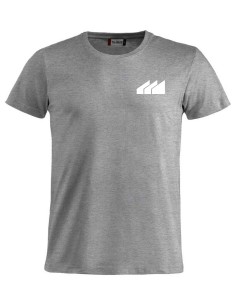 Camiseta gris "Institut Pere Martell"